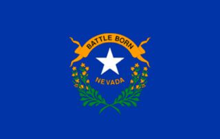 Battle born Nevada flag in color image.