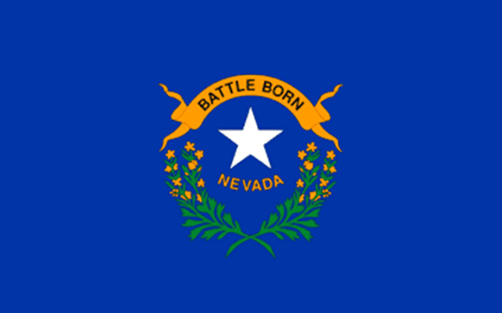 Battle born Nevada flag in color image.