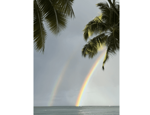 Edward R. Hugo Wins $55 Million Arbitration in Hawai’i